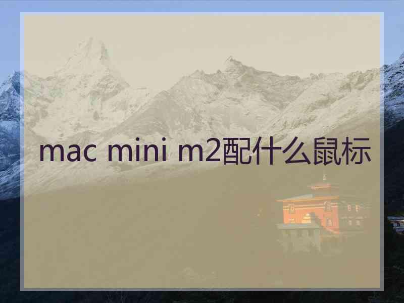 mac mini m2配什么鼠标