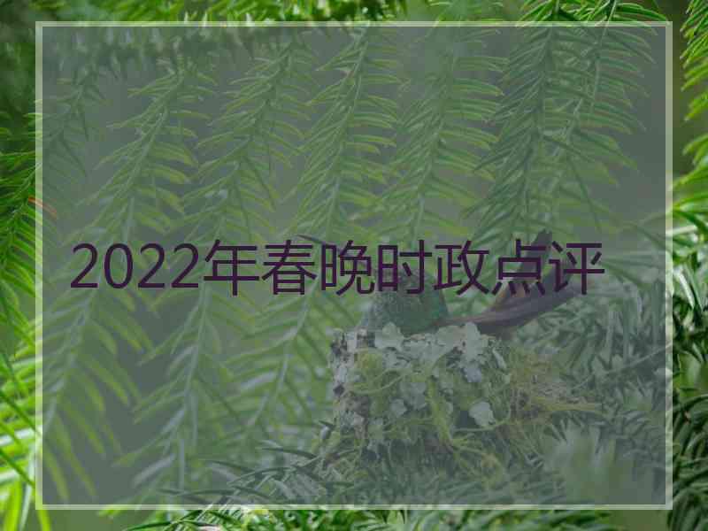 2022年春晚时政点评