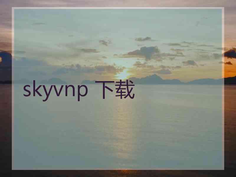 skyvnp 下载