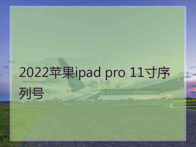 2022苹果ipad pro 11寸序列号