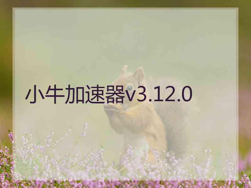 小牛加速器v3.12.0