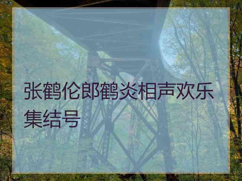 张鹤伦郎鹤炎相声欢乐集结号