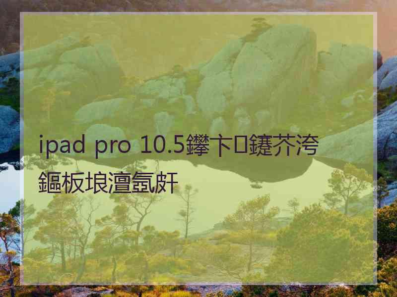 ipad pro 10.5鑻卞鑳芥洿鏂板埌澶氬皯