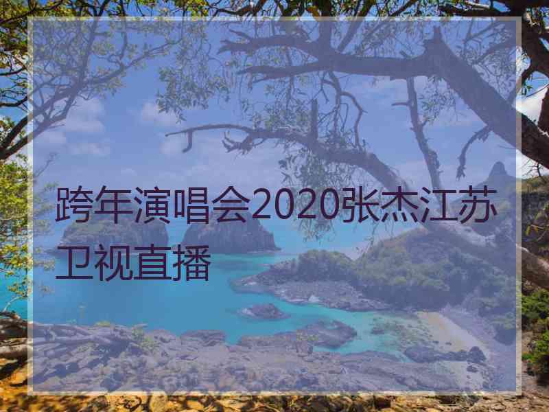 跨年演唱会2020张杰江苏卫视直播