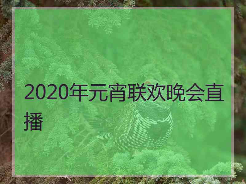 2020年元宵联欢晚会直播