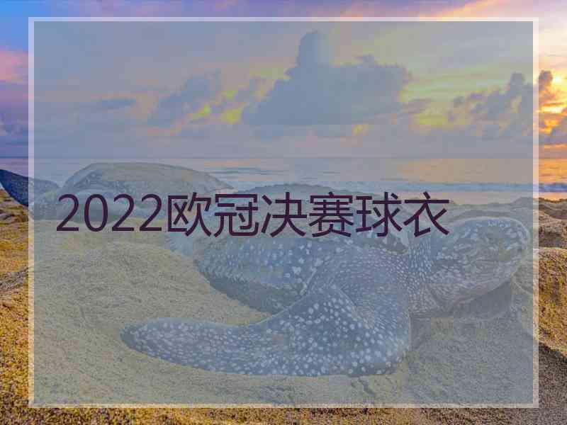 2022欧冠决赛球衣