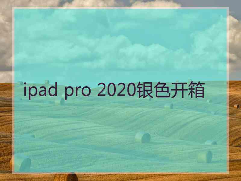 ipad pro 2020银色开箱