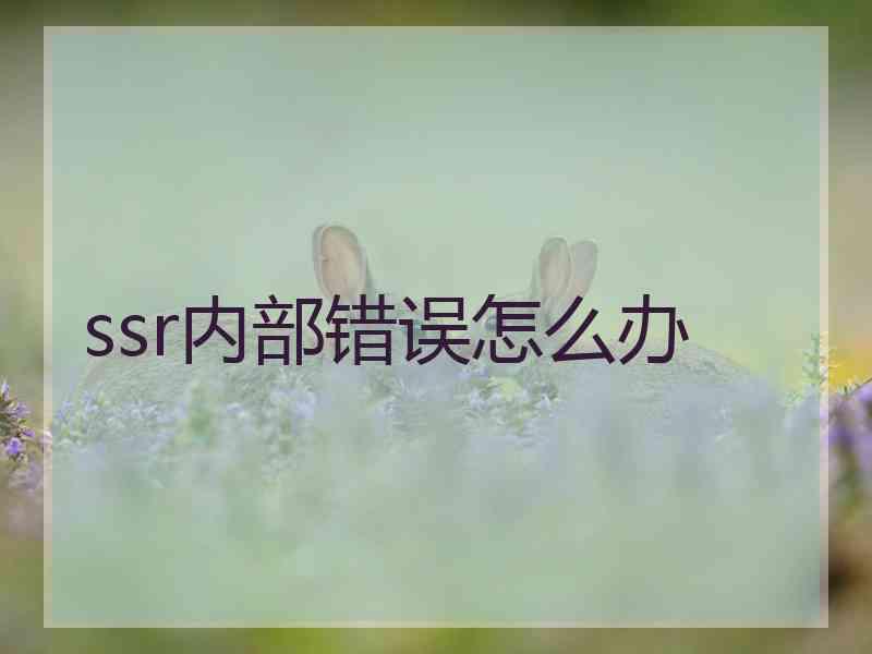 ssr内部错误怎么办