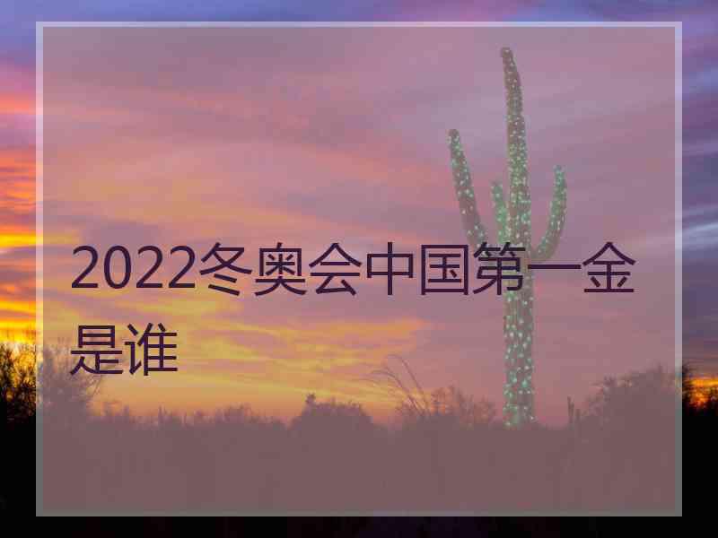 2022冬奥会中国第一金是谁