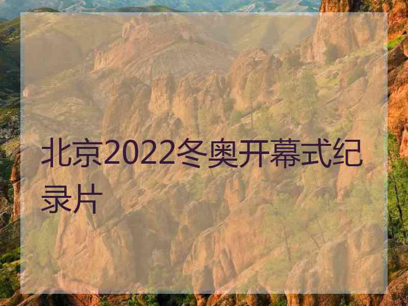 北京2022冬奥开幕式纪录片