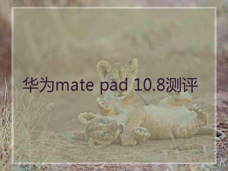 华为mate pad 10.8测评