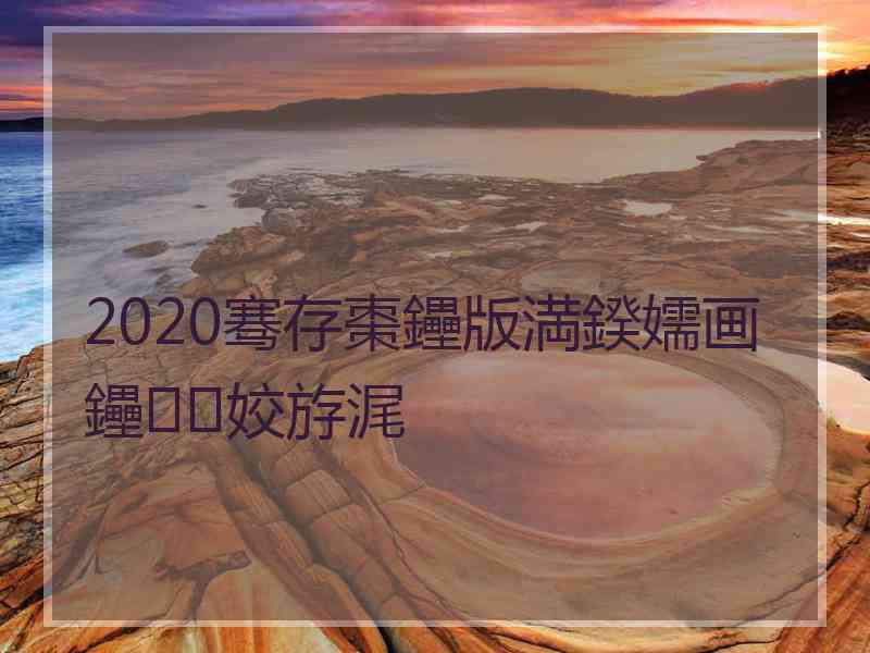 2020骞存棗鑸版満鍨嬬画鑸姣斿浘