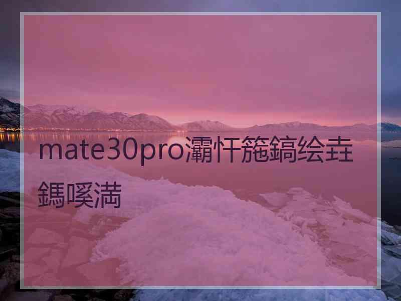 mate30pro灞忓箷鎬绘垚鎷嗘満