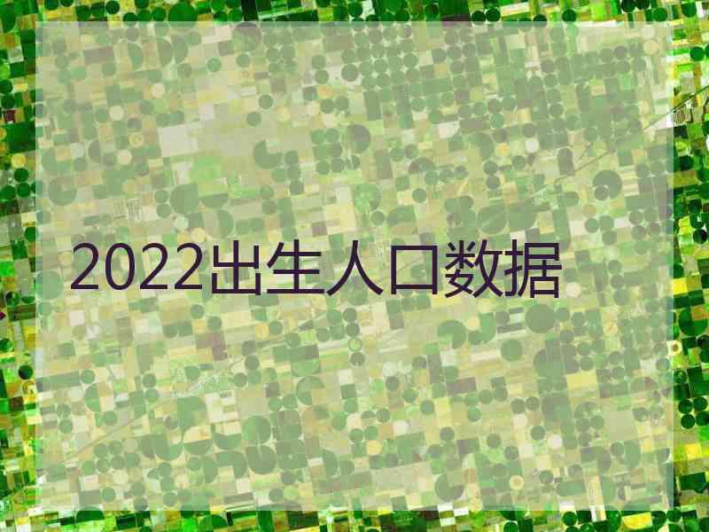 2022出生人口数据