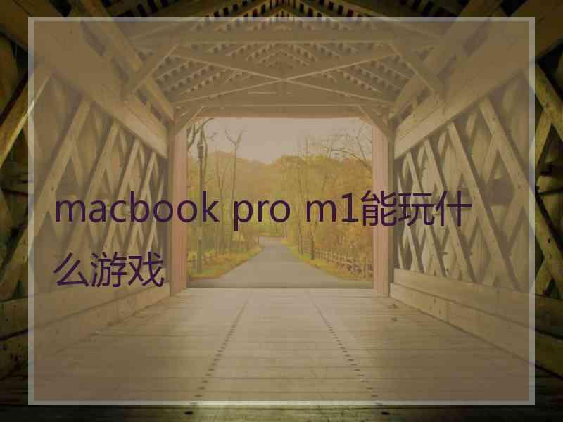 macbook pro m1能玩什么游戏