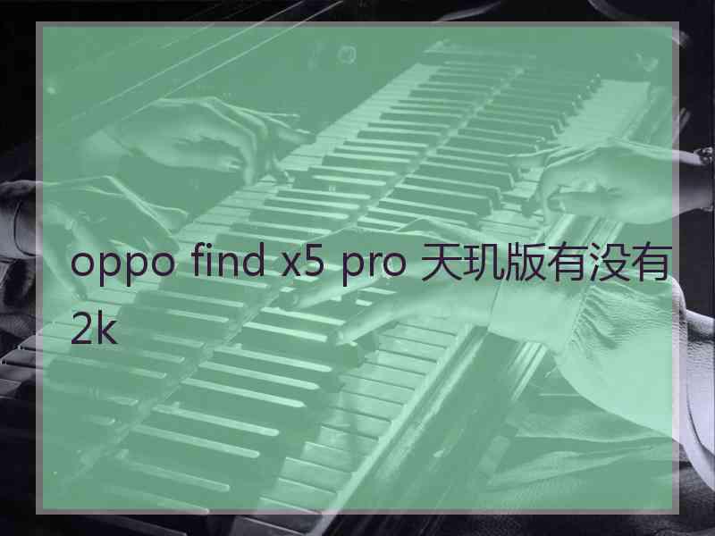 oppo find x5 pro 天玑版有没有2k