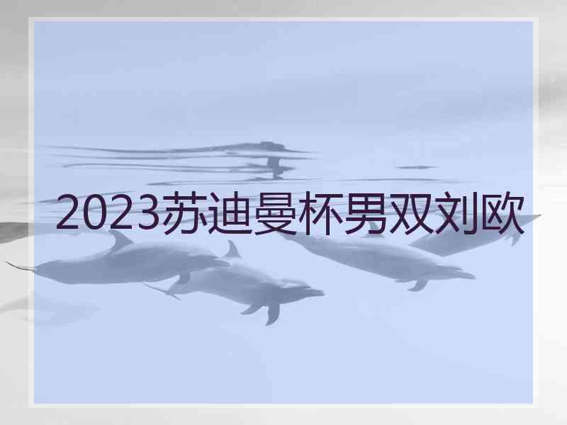 2023苏迪曼杯男双刘欧