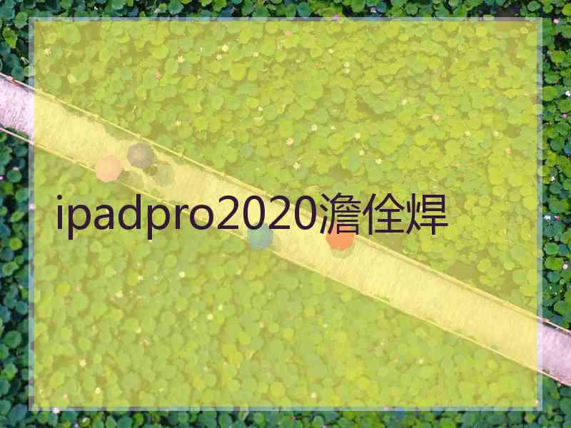 ipadpro2020澹佺焊