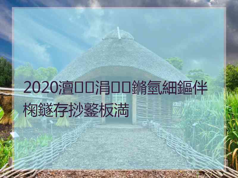 2020澶涓鏅氫細鏂伴椈鐩存挱鐜板満