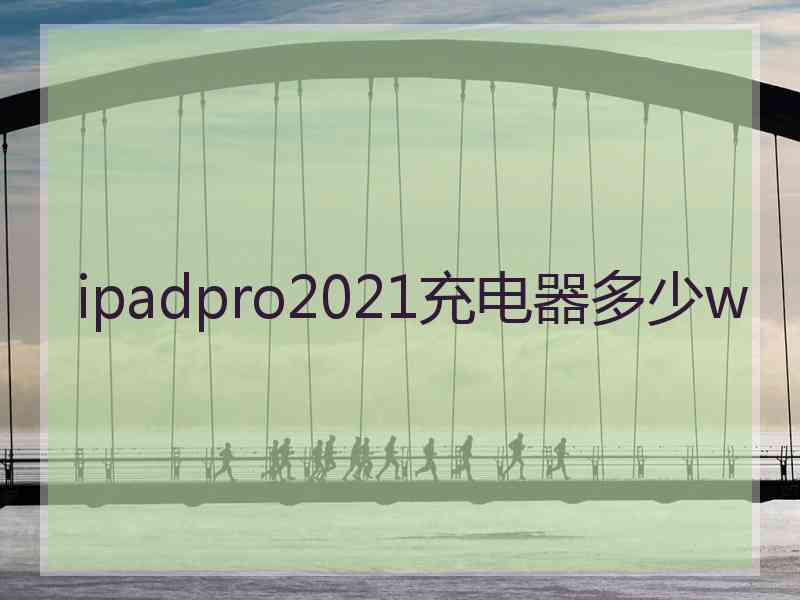 ipadpro2021充电器多少w