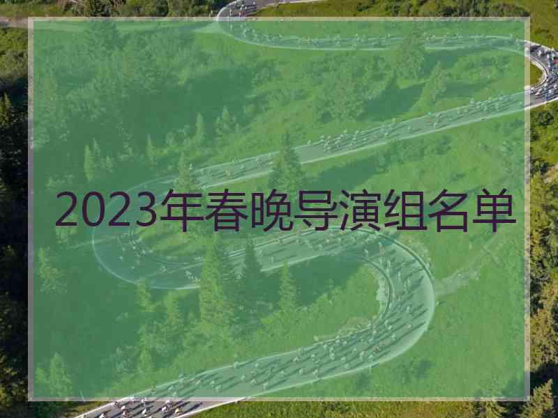 2023年春晚导演组名单