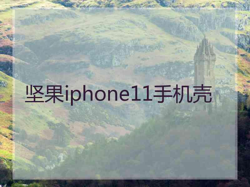 坚果iphone11手机壳