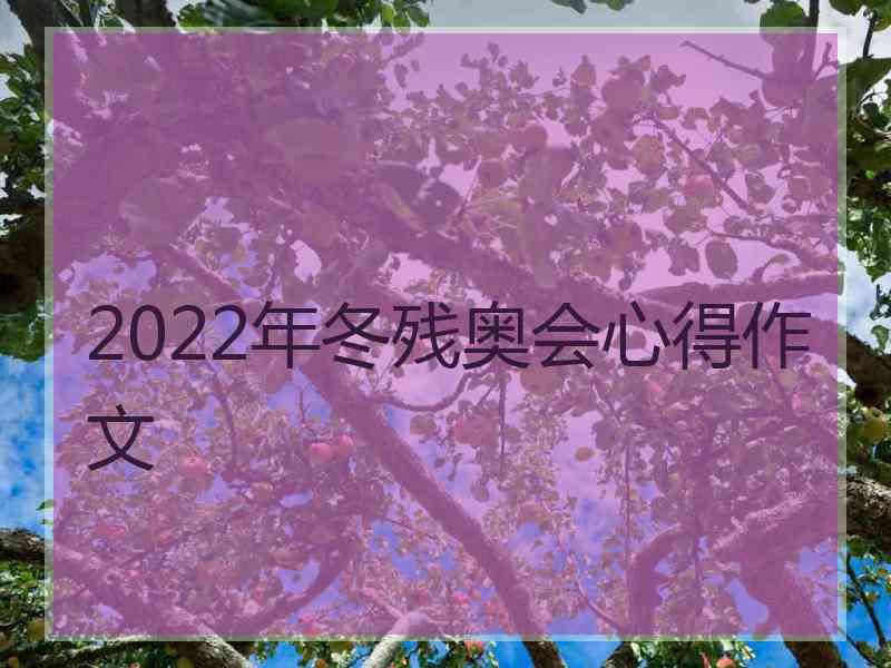 2022年冬残奥会心得作文