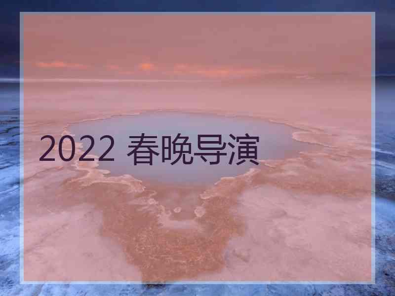 2022 春晚导演