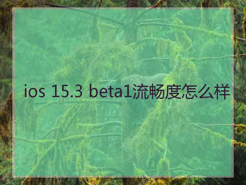 ios 15.3 beta1流畅度怎么样