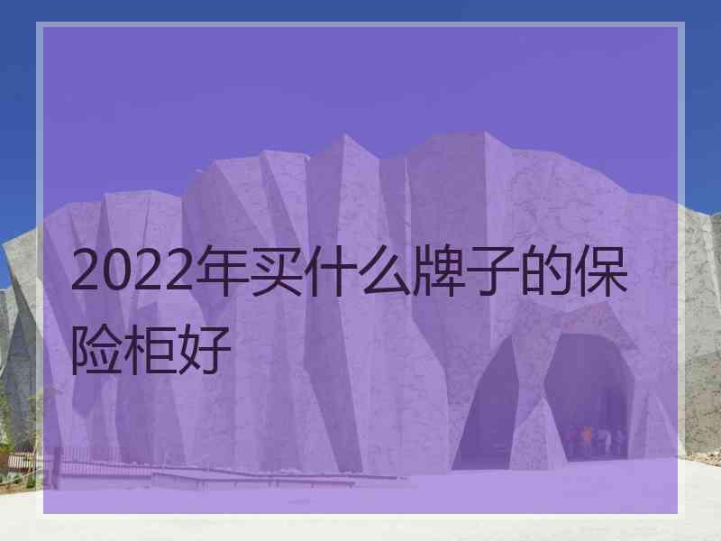 2022年买什么牌子的保险柜好