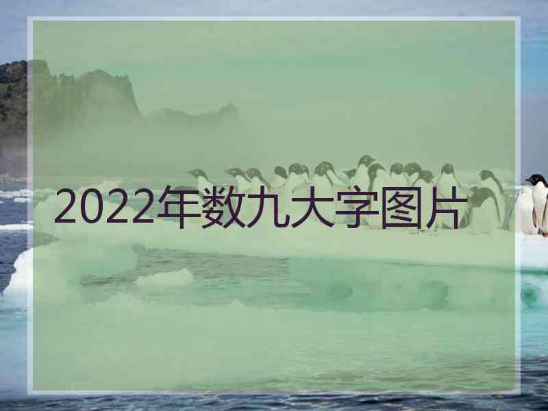 2022年数九大字图片