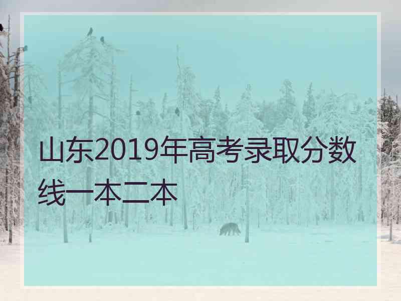 山东2019年高考录取分数线一本二本