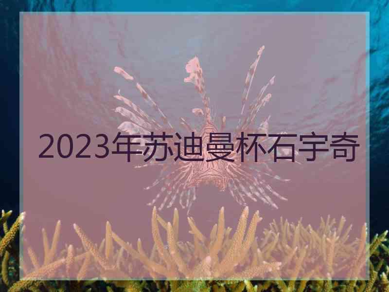 2023年苏迪曼杯石宇奇