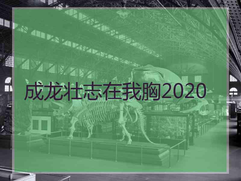 成龙壮志在我胸2020