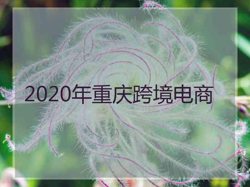 2020年重庆跨境电商