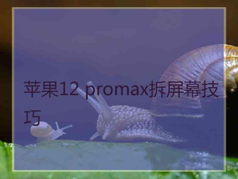 苹果12 promax拆屏幕技巧