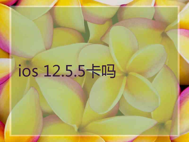 ios 12.5.5卡吗