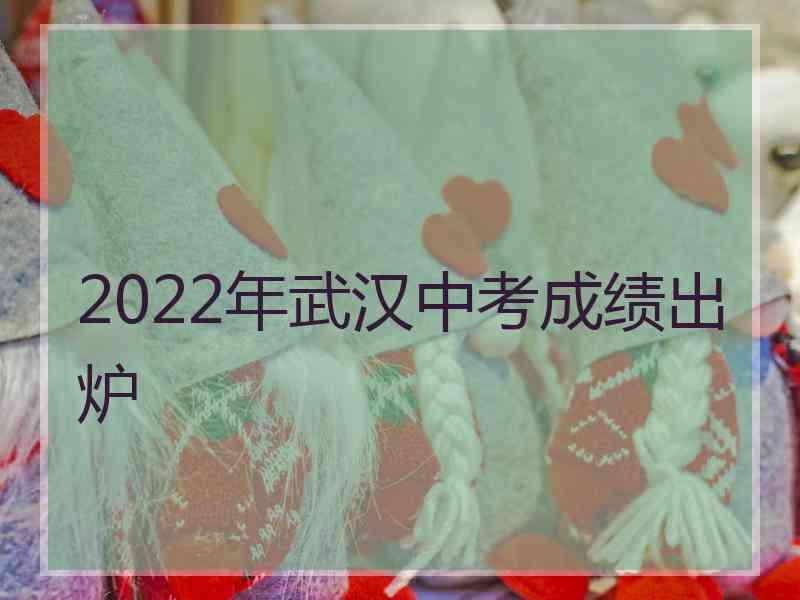 2022年武汉中考成绩出炉