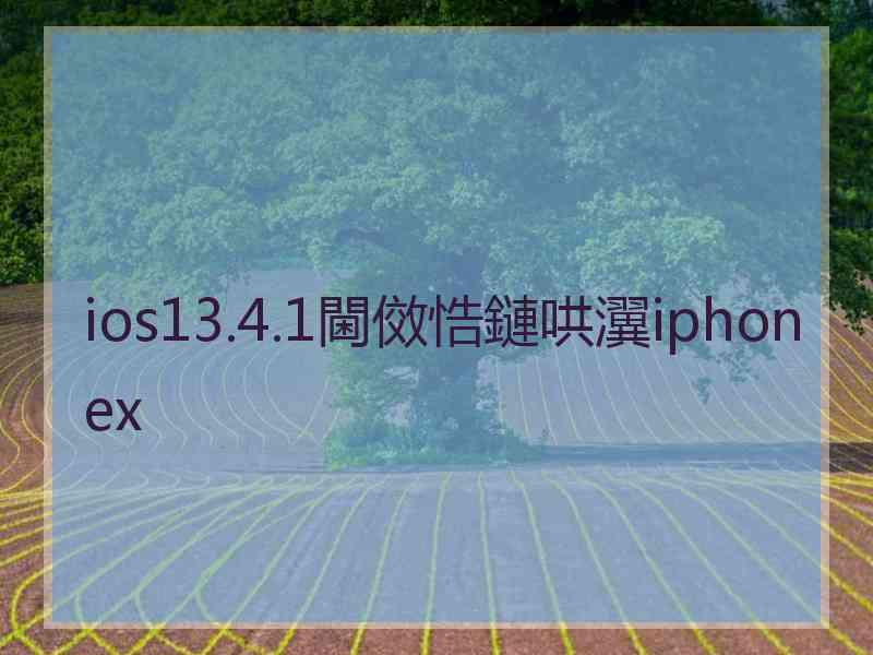 ios13.4.1閫傚悎鏈哄瀷iphonex