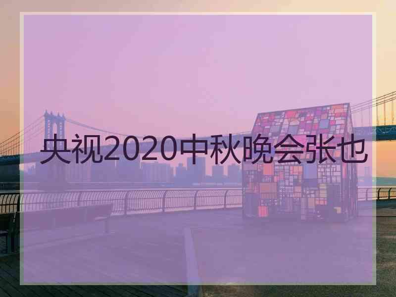 央视2020中秋晚会张也