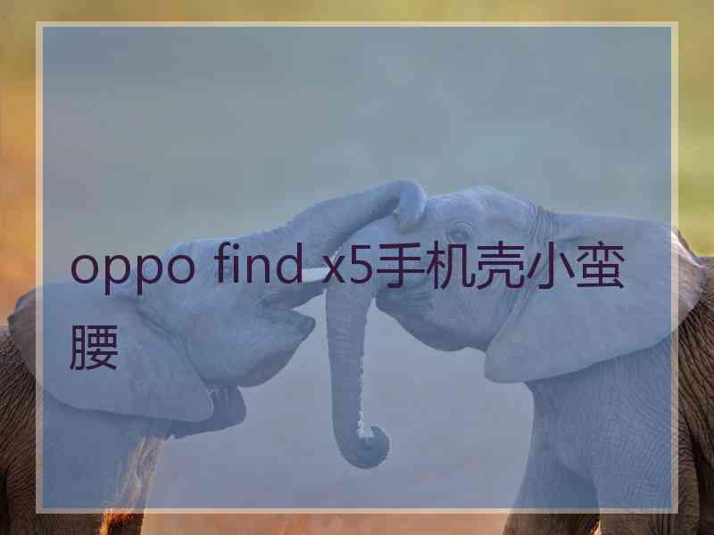 oppo find x5手机壳小蛮腰