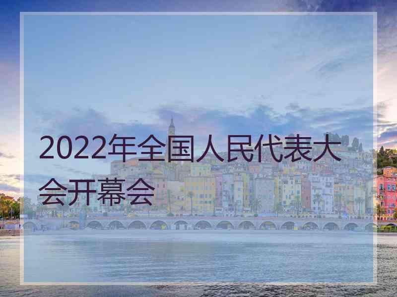 2022年全国人民代表大会开幕会