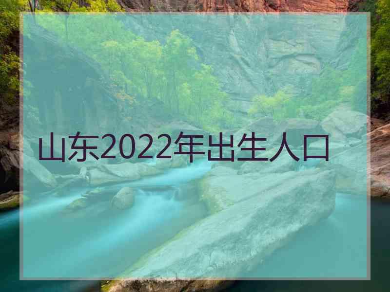 山东2022年出生人口