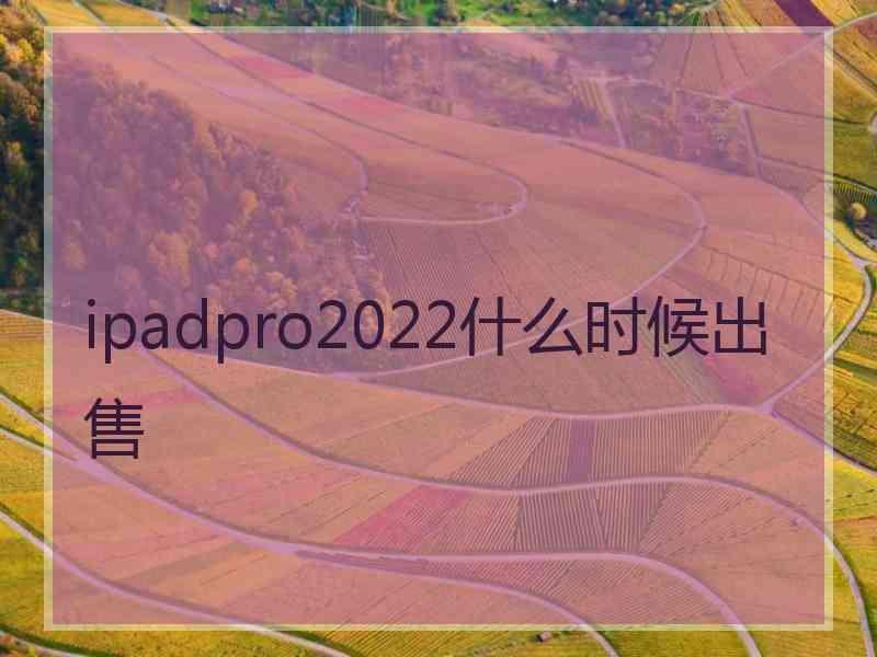 ipadpro2022什么时候出售