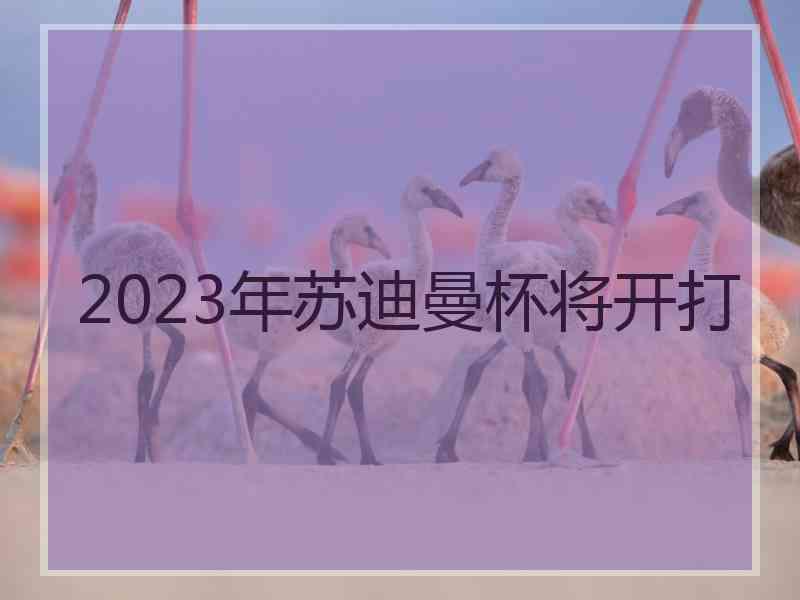 2023年苏迪曼杯将开打