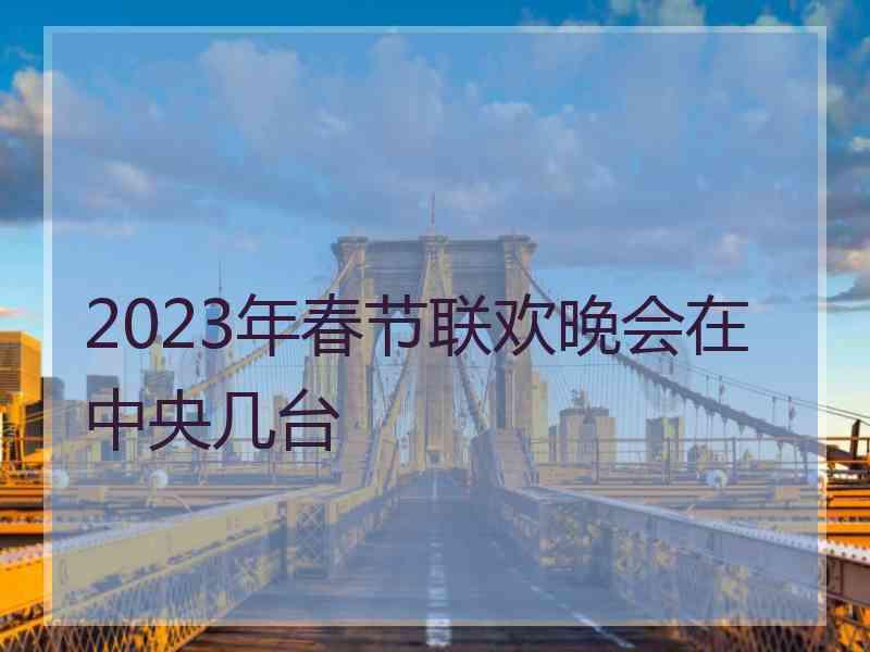 2023年春节联欢晚会在中央几台