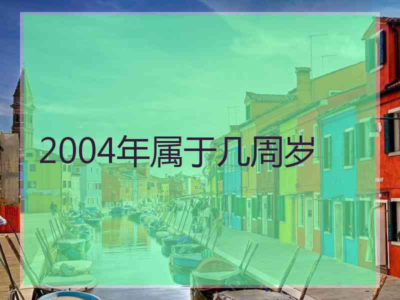 2004年属于几周岁