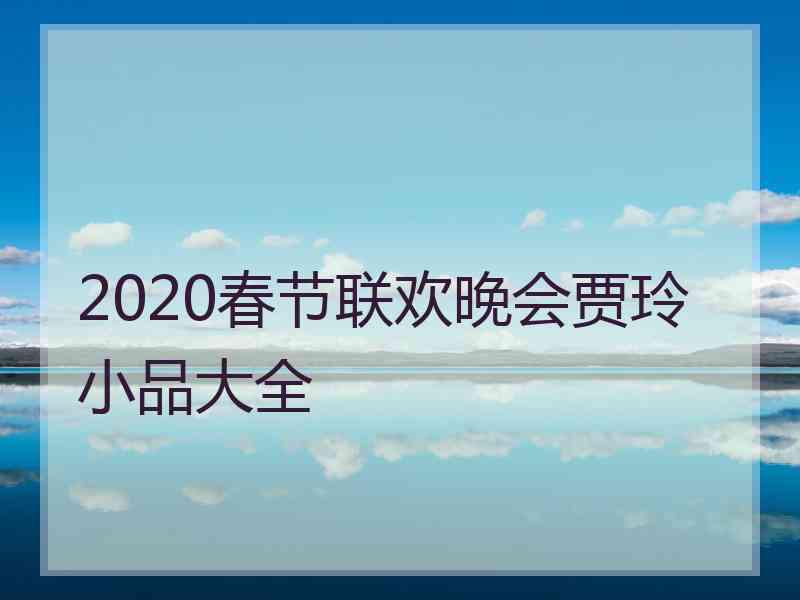 2020春节联欢晚会贾玲小品大全