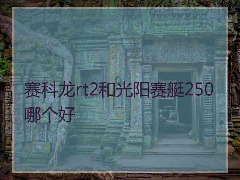 赛科龙rt2和光阳赛艇250哪个好