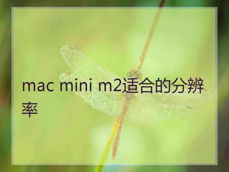 mac mini m2适合的分辨率